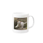 TAIYO 猫好きのフォトプリント美形白猫 Mug :right side of the handle