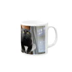 yottin59617の迷い黒猫キキ Mug :right side of the handle