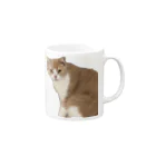 Mashlyのマシロくん猫グッズ Mug :right side of the handle