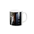 ねこ写真のみせの正面からみたねこ Mug :right side of the handle