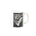 Aiko Nakanoのcat_20190227_8341  Mug :right side of the handle