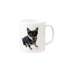 うたた寝の🐾豆柴BOY🐾 世界中で愛される柴犬　1歳 Mug :right side of the handle