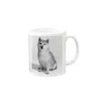 koha channelの柴犬小春 Mug :right side of the handle