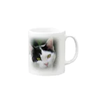 JikenShopのぶち猫「さつき」顔 Mug :right side of the handle