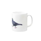 行方不明のドバトが見つかったの行方不明のドバト_鳩 Mug :right side of the handle