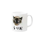 たんたん保護猫グッズの椎茸を被ったうりお君 Mug :right side of the handle