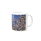 hiroki-naraの光景　sight0069　桜　2015_014　サクラ  Mug :right side of the handle