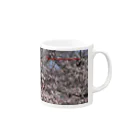 hiroki-naraの光景　sight0071　桜　2015_016　サクラ  Mug :right side of the handle