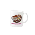 Second Wildlifeのオウムガイ #1 Mug :right side of the handle