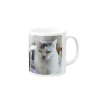 NK−Photoの猫神様降臨 Mug :right side of the handle