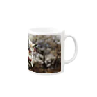 hiroki-naraの梅　ウメ　Japanese　apricot DATA_P_098　春　spring Mug :right side of the handle