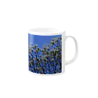 hiroki-naraの白木蓮 はくもくれん　春　spring　DATA_P_103 Mug :right side of the handle