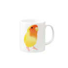 まめるりはことりのコザクラインコ　おすましルチノー【まめるりはことり】 Mug :right side of the handle