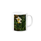 hiroki-naraの水仙　narcissus　DATA_P_156　春　spring Mug :right side of the handle