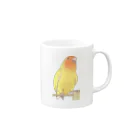 まめるりはことりの得意げ可愛い　コザクラインコちゃん【まめるりはことり】 Mug :right side of the handle