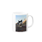 シッポ追いの猫写真店の汚しちゃった！ Mug :right side of the handle