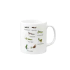 L_arctoaの関東のカマキリ（旧学名・非推奨）（背景白色ver） Mug :right side of the handle