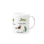 L_arctoaの関東のカマキリ（旧学名・非推奨）マグカップ（全面ver） Mug :right side of the handle