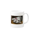 魔法のアイテムショップのうちのねこさま Mug :right side of the handle