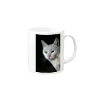 シッポ追いの猫写真店のオッドアイ Mug :right side of the handle