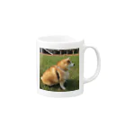 taikhoanapple1992のしば犬 Mug :right side of the handle