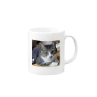 猫のhananyanのスフィンクスハナちゃん Mug :right side of the handle