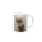 愛猫自慢ストアのココちゃん Mug :right side of the handle