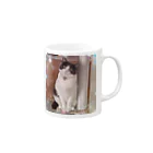 TuZiの福猫グレちゃん Mug :right side of the handle