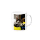 machiawaseの猫 Mug :right side of the handle