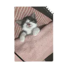 こねこねこ日和の子猫の寝顔 Notebook