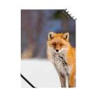 cow_cherry blossomsのNature of Hokkaido(Fox) Notebook