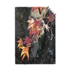 花模様の秋の色 ノート