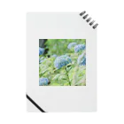 蛍石のhydrangeas Notebook