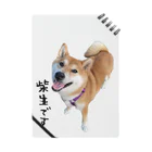 SHIBAOOOOOの柴生です ノート