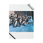 hanacoの水族館のペンギン ノート