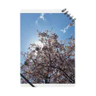 カナヘイのお店の屋久島の桜 ノート