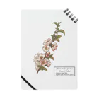 たくみのグッズショップのボケ（Chaenomeles speciosa） Notebook