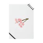 紅藤コミミズクの桜 Notebook