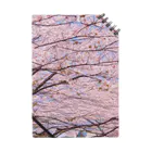 辺賦志ショップの美しき桜 ノート