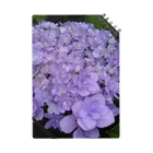yurisacinの紫陽花（紫） ノート