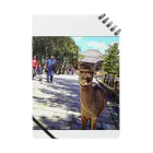 ならばー地亜貴(c_c)bのカメラ目線の奈良の鹿 Notebook