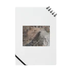 numatarouのうちの猫 Notebook