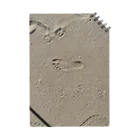 BAUL ROZZI のFOOTPRINTS Notebook