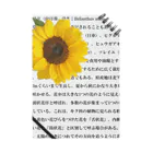 西麻布mingle✿ by花庫のウィキペディアより（ひまわり） Notebook