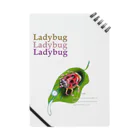 uwotomoの【 Laddybug 】 Notebook
