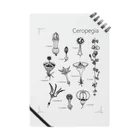 DOTEKKOのT-29 Ceropegia Notebook