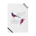 ひねもす屋　2号店の琉球の鮮やかな鳥たち Notebook