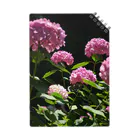 hikagemonoの赤い紫陽花 Notebook