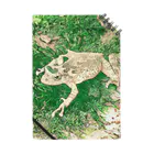 Fantastic FrogのFantastic Frog -Evergreen Version- Notebook