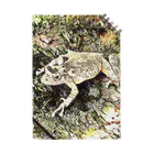 Fantastic FrogのFantastic Frog -Dry Moss Version- ノート